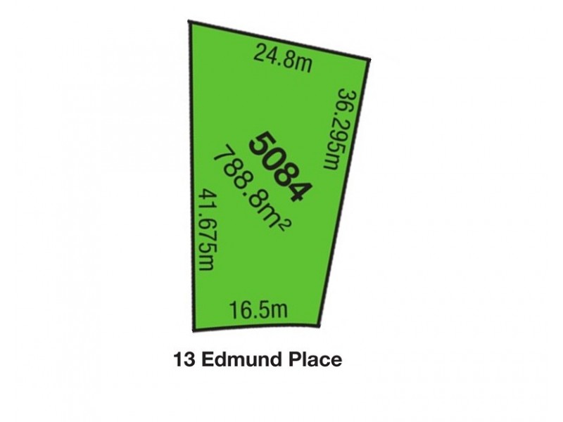 13 Edmund Place, Cecil Hills NSW 2171