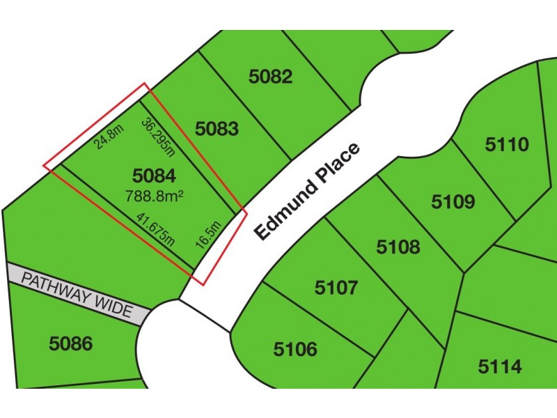 13 Edmund Place, Cecil Hills NSW 2171