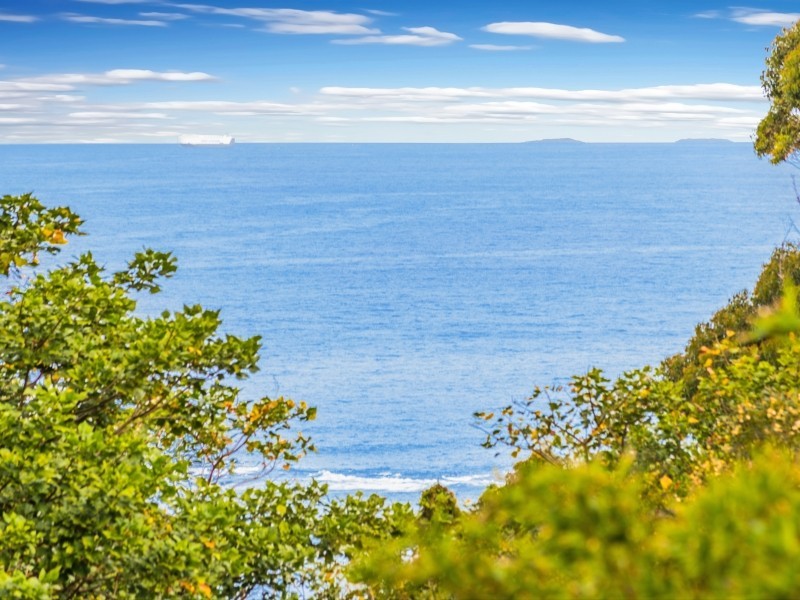 450 Lawrence Hargrave Drive, Scarborough NSW 2515