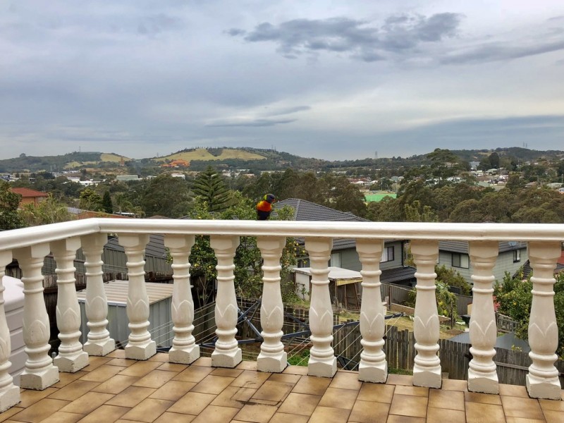 77 Blackman Parade, Unanderra NSW 2526