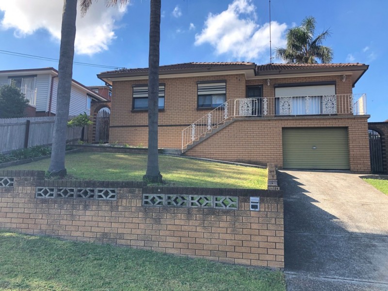 21 Jane Avenue, Warrawong NSW 2502