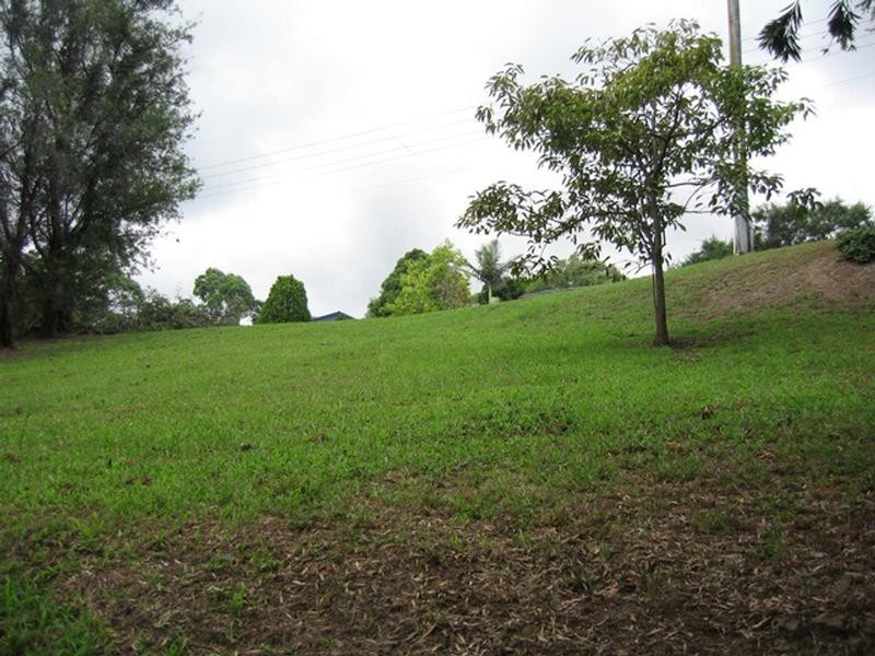 91 Fairloch Avenue, Farmborough Heights NSW 2526