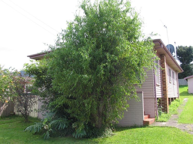 40 Bruce Road, Fairy Meadow NSW 2519