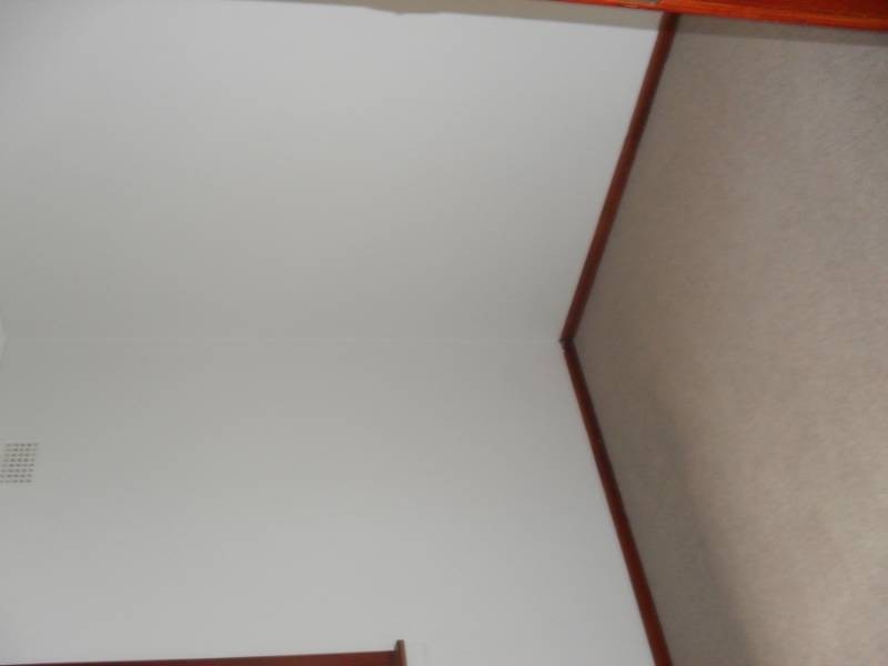 101 Ocean Street, Windang NSW 2528