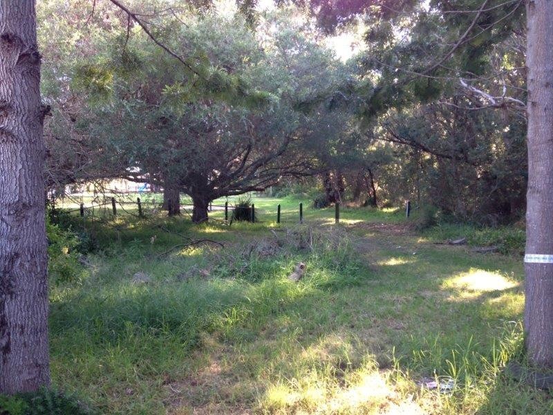 31 Ocean Street, Windang NSW 2528