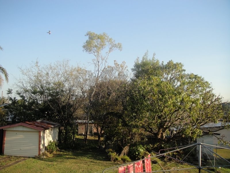 7  Herbert Street, Murarrie QLD 4172