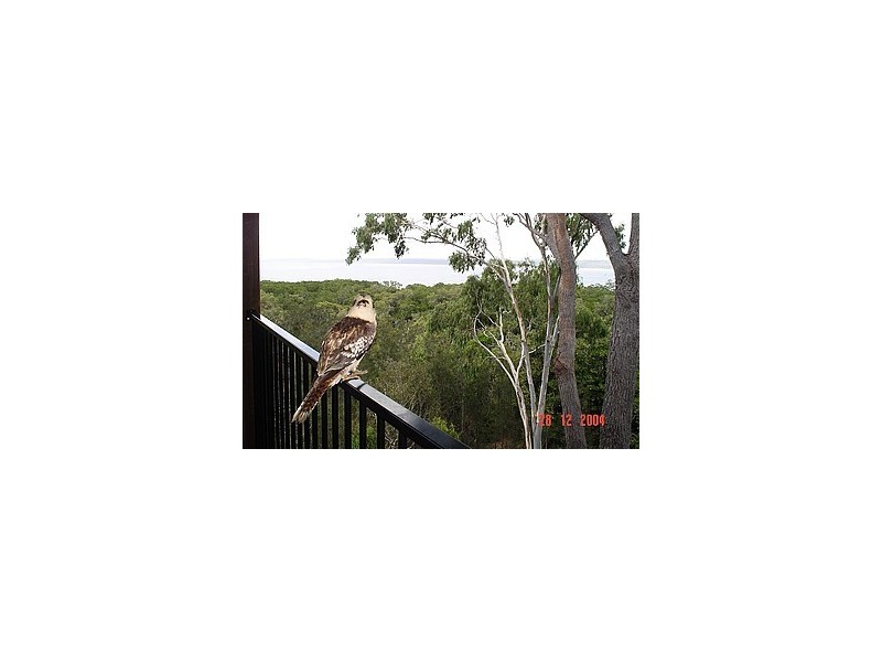 3 Island Lookout, Macleay Island QLD 4184