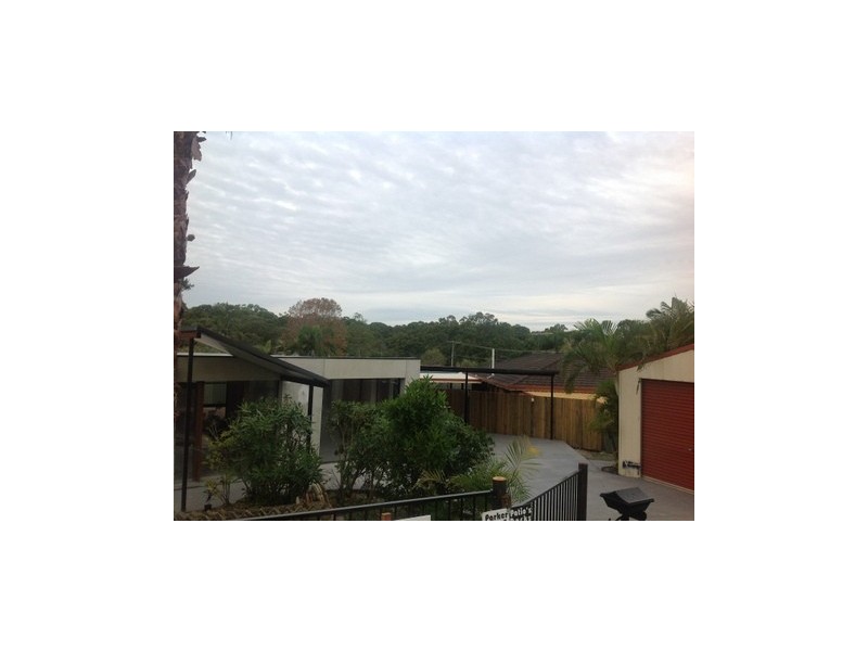 3 Spoonbill Street, Birkdale QLD 4159