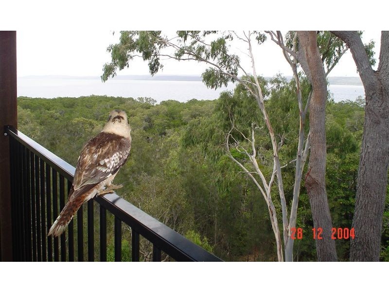 3 Island Outlook, Macleay Island QLD 4184