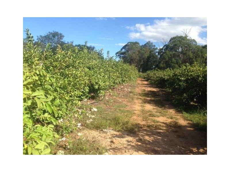 26-28 Boundary Rd, Thornlands QLD 4164