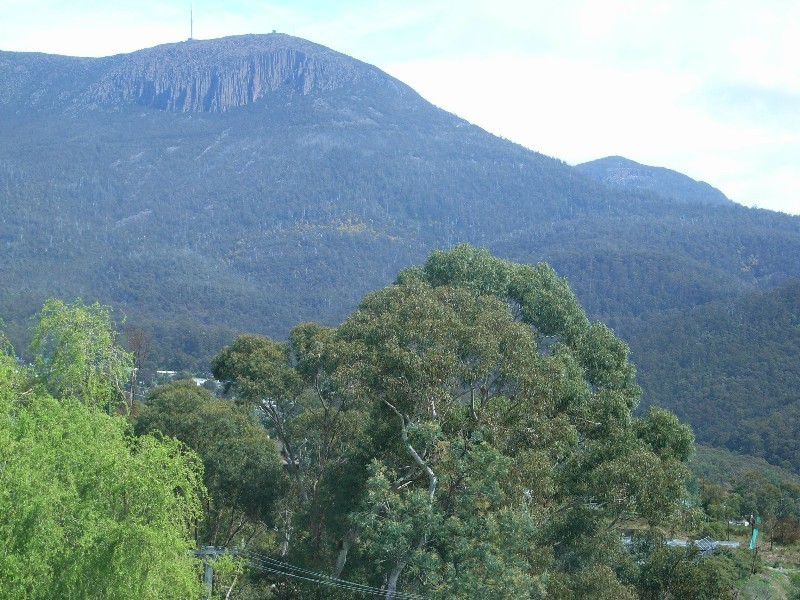 Unit 2 439 HUON ROAD, South Hobart TAS 7004