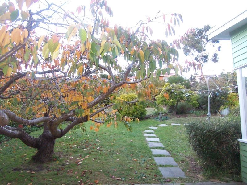 74 Kaoota Road, Rose Bay TAS 7015