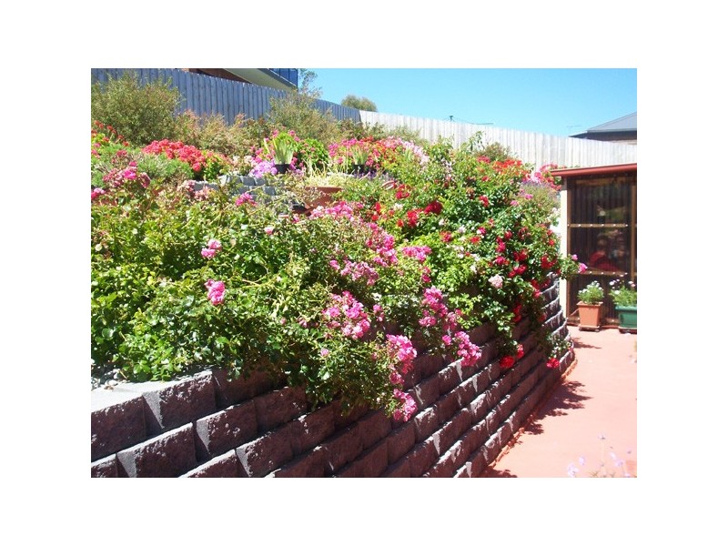 48 Clives Avenue, Old Beach TAS 7017