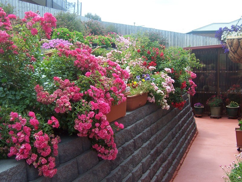 48 Clives Avenue, Old Beach TAS 7017