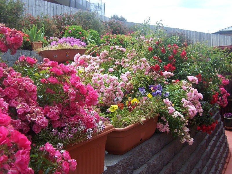 48 Clives Avenue, Old Beach TAS 7017