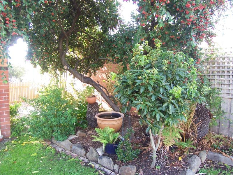 36 Riverway Road, Montrose TAS 7010