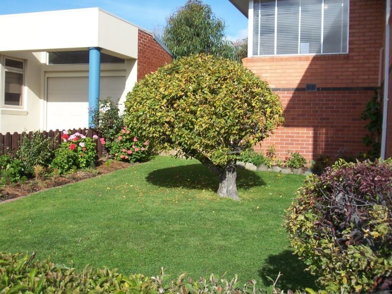 36 Riverway Road, Montrose TAS 7010