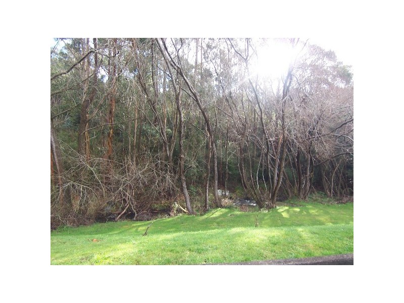 unit 2/79 STRICKLAND AVENUE, South Hobart TAS 7004