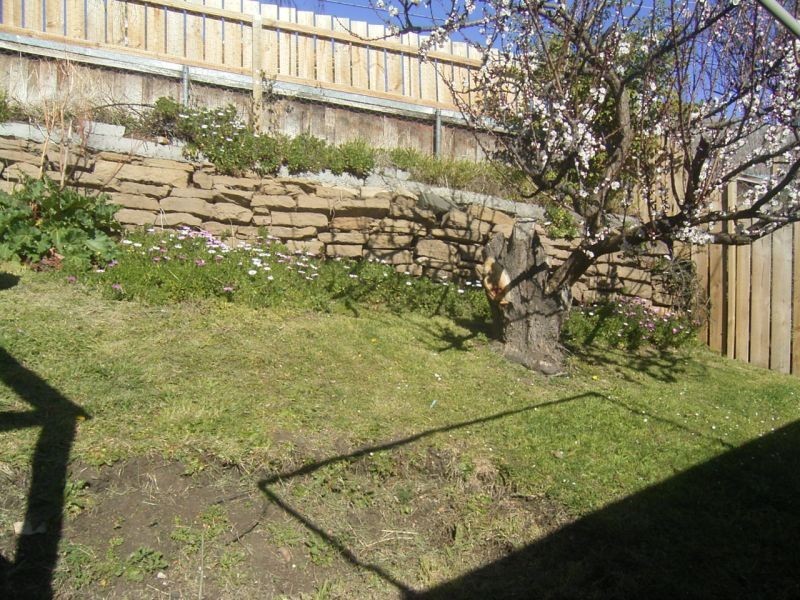 2/10 Lyndhurst Avenue, North Hobart TAS 7000