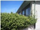 UNIT 2/8 MCTAVISH AVENUE, North Hobart TAS 7000