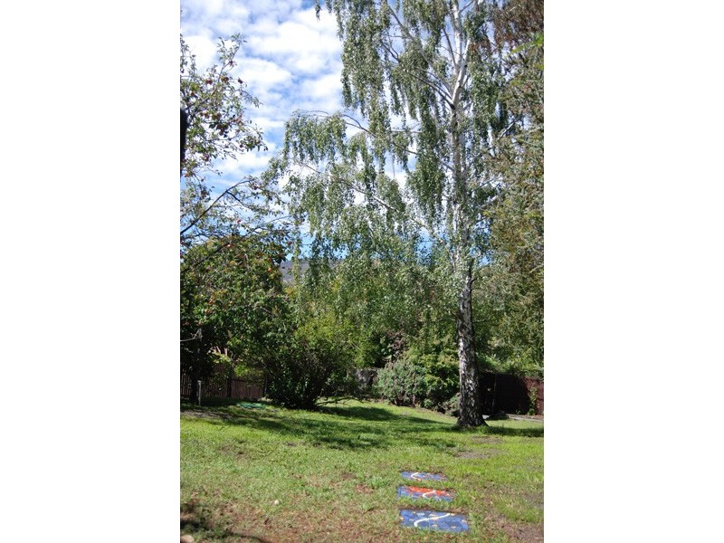 17 Alexander Street, Sandy Bay TAS 7005