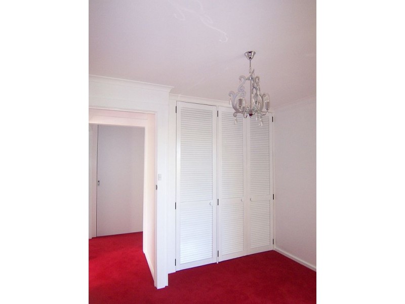 1/3 Mcaulay Road, Sandy Bay TAS 7005