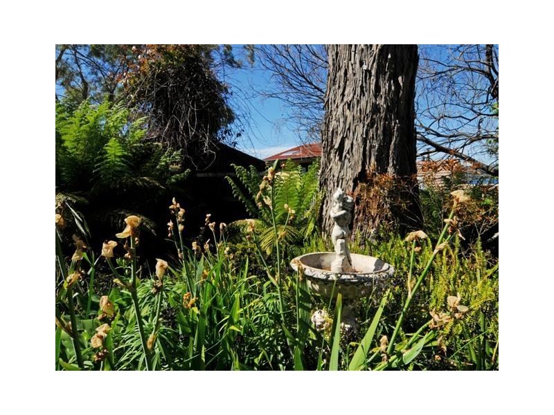 152 DERWENT AVE, Lindisfarne TAS 7015