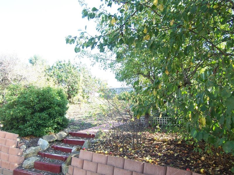 9 Gregson Avenue, New Town TAS 7008