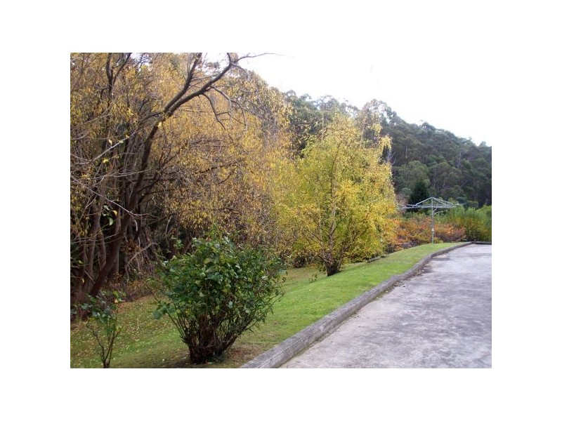 5/79 Strickland Avenue, South Hobart TAS 7004