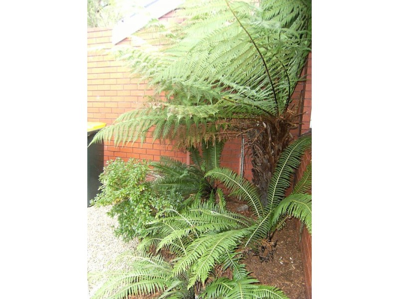 5/79 Strickland Avenue, South Hobart TAS 7004