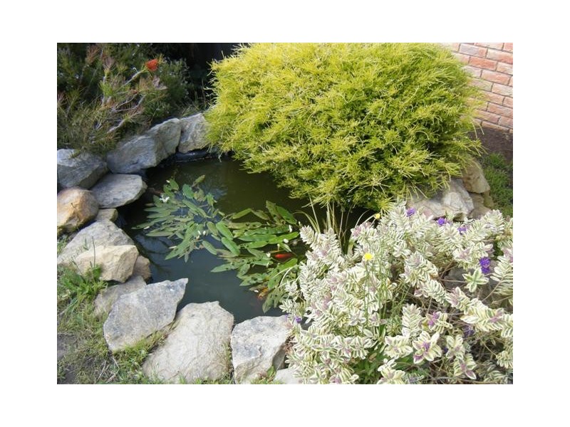 24 FAIRVIEW DRIVE, Kingston TAS 7050