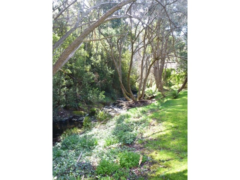 2/79 STRICKLAND AVENUE, South Hobart TAS 7004