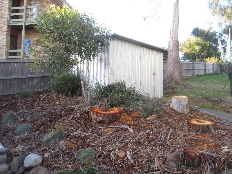 48 PURDIE STREET, West Moonah TAS 7009