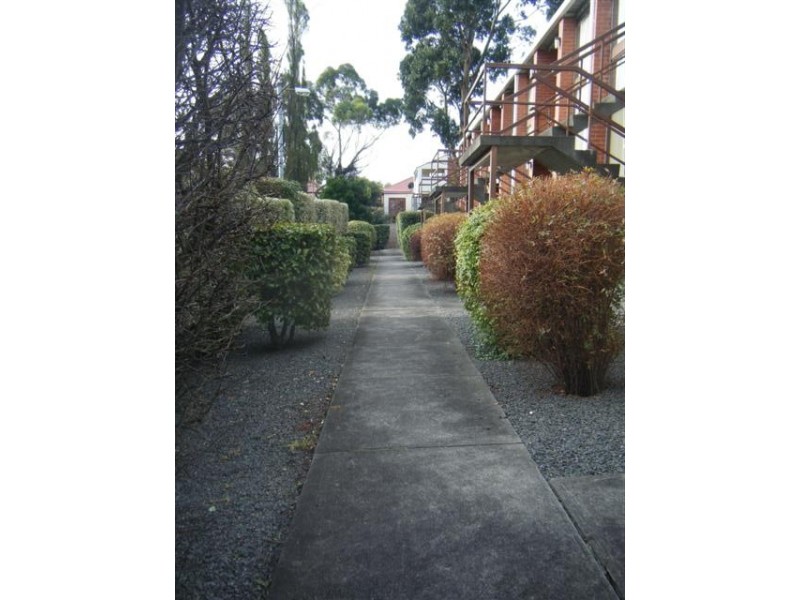 10/56 ADELAIDE STREET, South Hobart TAS 7004