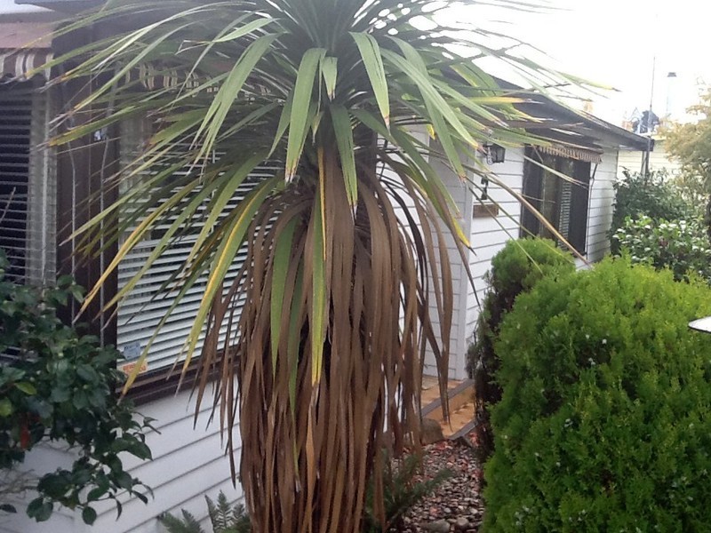 1678 Gordon River Road, Westerway TAS 7140