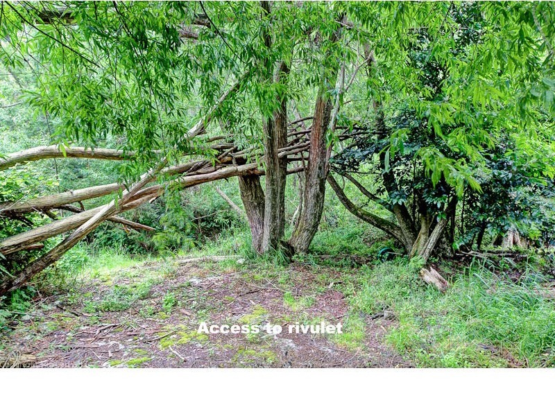 2/41 Strickland Avenue, South Hobart TAS 7004