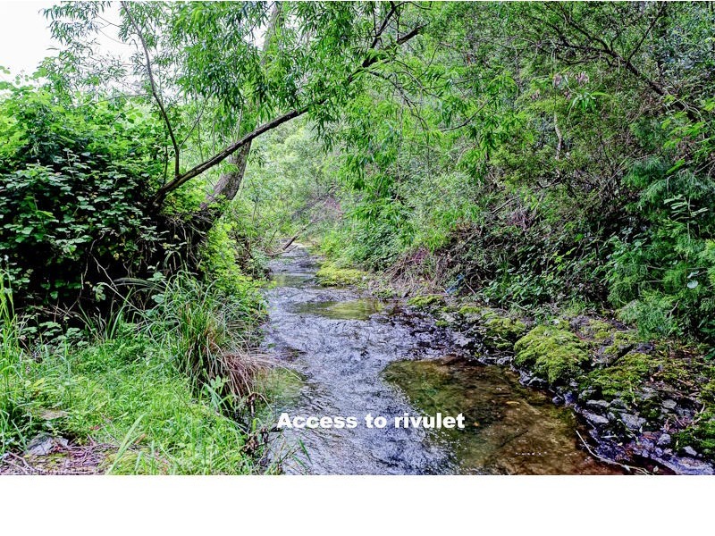 2/41 Strickland Avenue, South Hobart TAS 7004