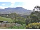 2/31 Hillborough Road, South Hobart TAS 7004