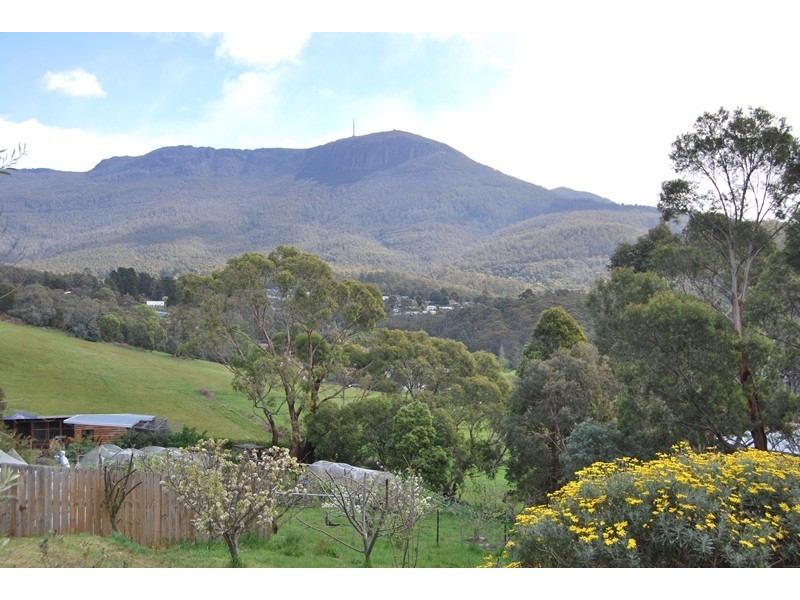 2/31 Hillborough Road, South Hobart TAS 7004