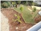 20 Date Court, Sandy Bay TAS 7005
