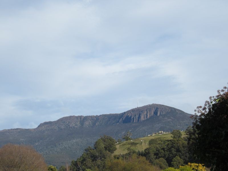 13 Wynyard Street, South Hobart TAS 7004