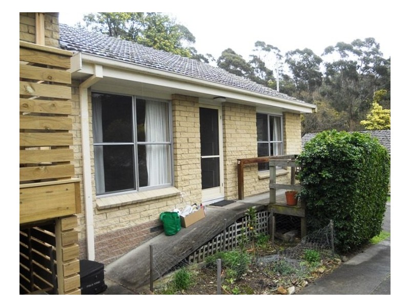 3/73B Strickland Avenue, South Hobart TAS 7004