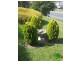 6 Marys Hope Road, Rosetta TAS 7010