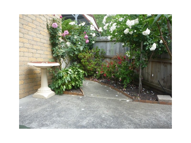 1/17 Washington St, South Hobart TAS 7004