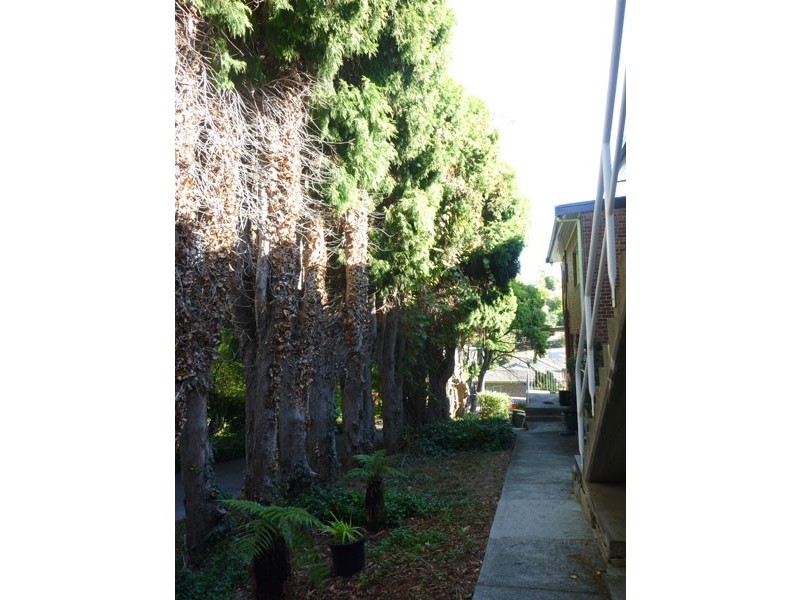 4/18 MANNING AVE, Sandy Bay TAS 7005