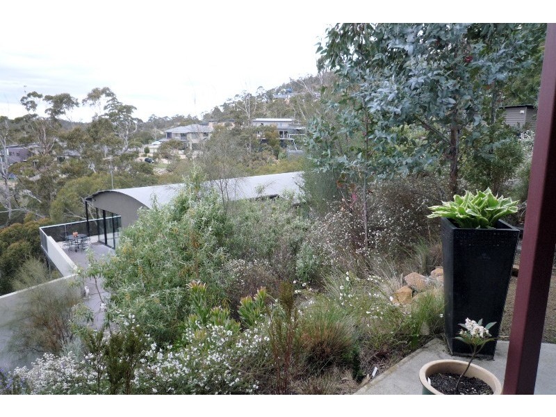 Tolmans Hill TAS 7007