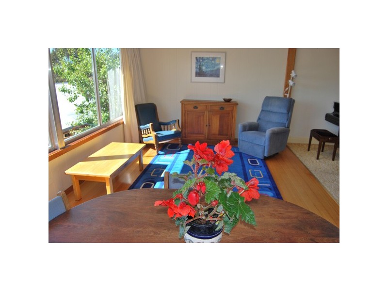 17 Alexander Street, Sandy Bay TAS 7005