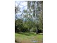 17 Alexander Street, Sandy Bay TAS 7005