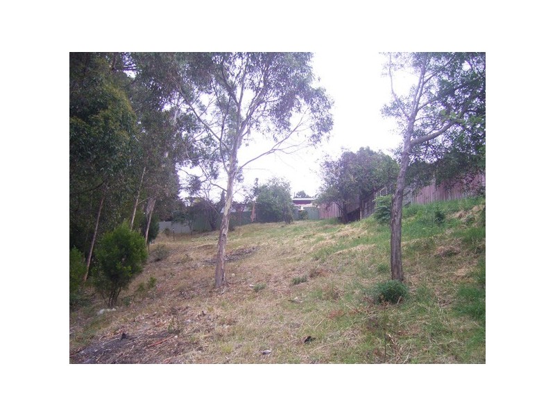 19 Avon Road, South Hobart TAS 7004