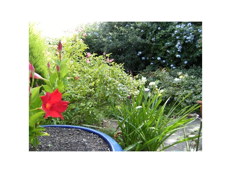 Bridgewater TAS 7030